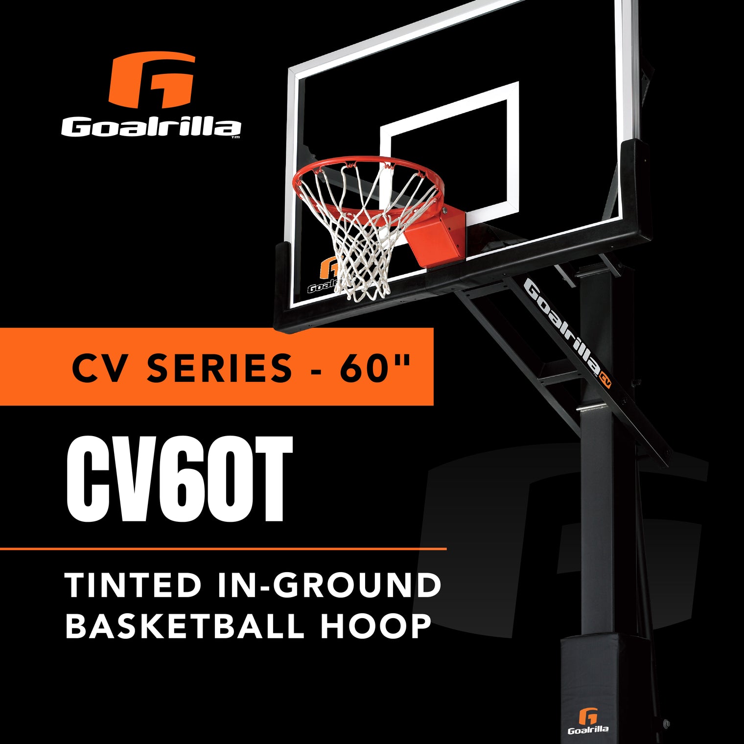 NEW CV60T