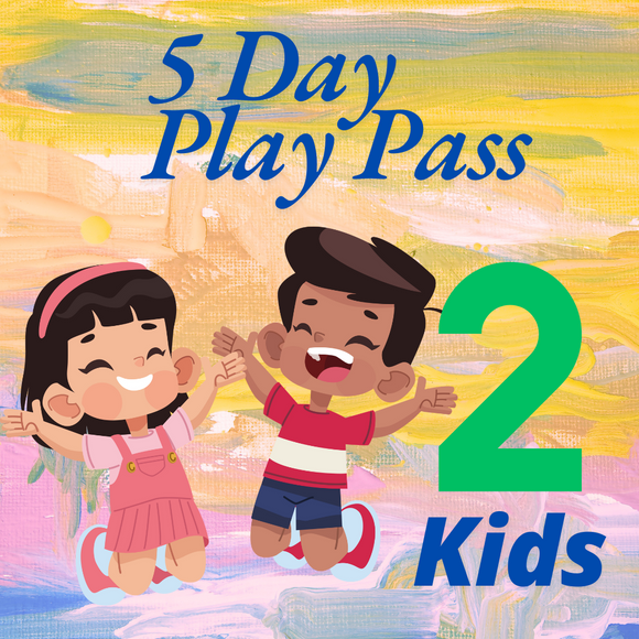 Indoor Play Pass Backyard Fun Zone  