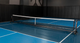 pickleball net 