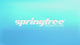 Springfree Trampoline